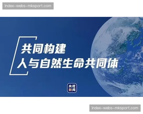 体育媒体生态正从孤立分发走向集群运作 强化产业上下游协同共生