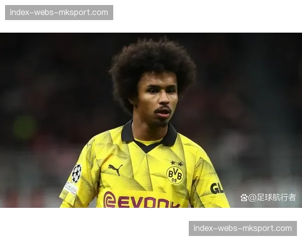 哈兰德谈重返阿尔瓦拉德：面对旧主将保持专业态度